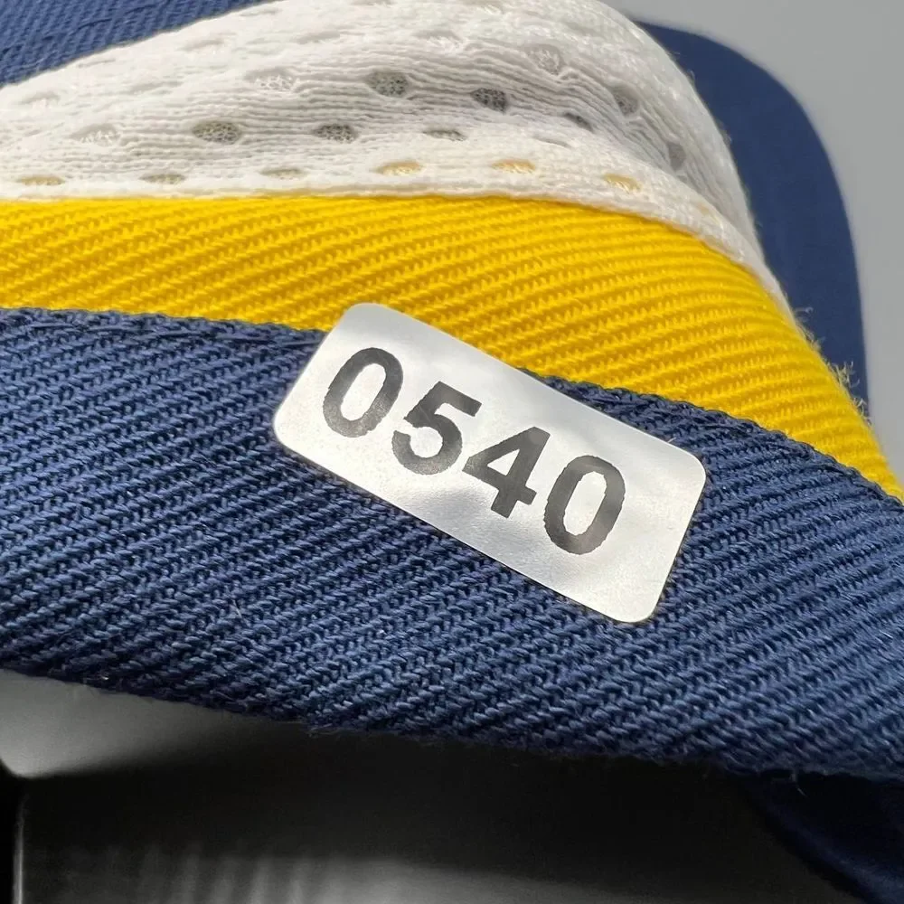 Michigan Wolverines x Air Jordan Hat Men‎ Blue Jumpman Snap Back Cap New